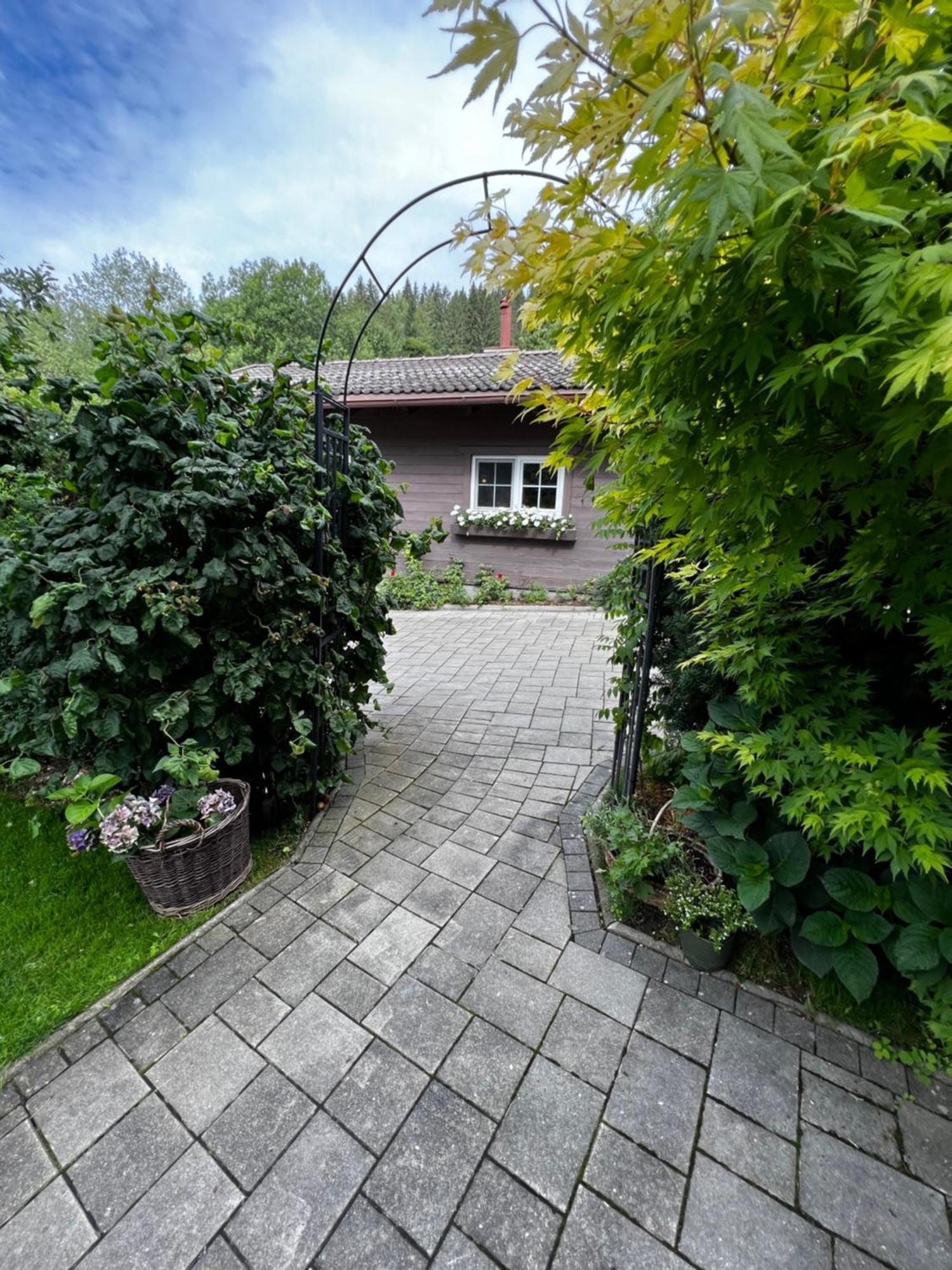 Tini House Villa Wagrain Dış mekan fotoğraf
