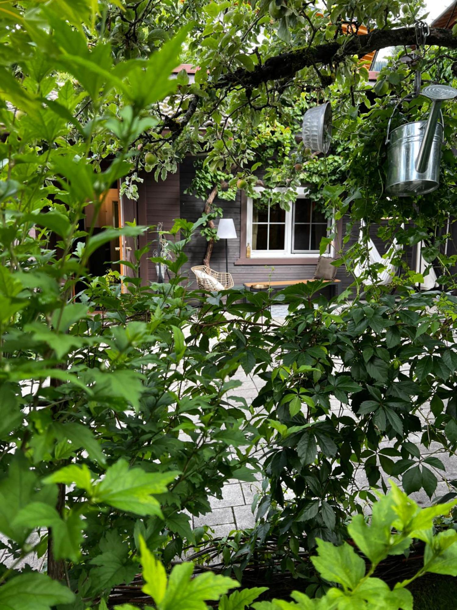 Tini House Villa Wagrain Dış mekan fotoğraf